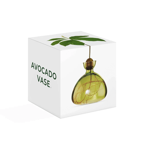 Avocado Vase - Grass Green