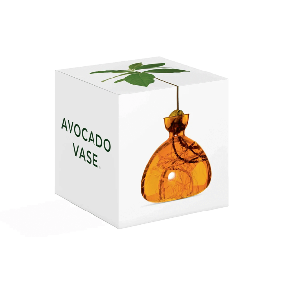 Avocado Vase - Burnt Orange