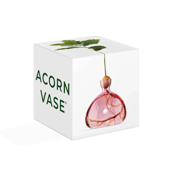 Acorn Vase - Rose Pink