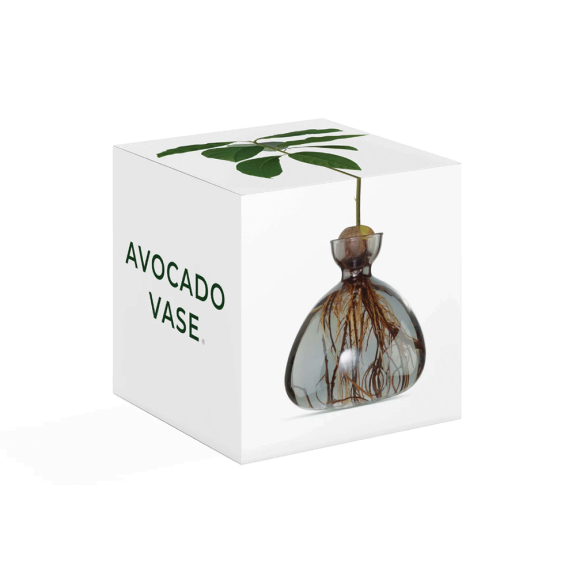 Avocado Vase - Smoke Grey