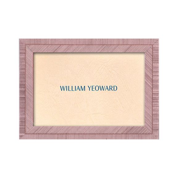 Rose Chevron Picture Frame - 8" x 10"
