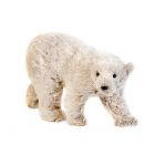 Crouching Polar Bear
