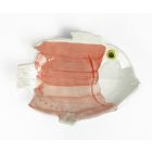 Painted Fish Plate - Rouge