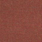 Konja - Spice