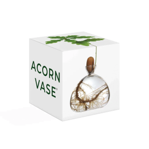 Acorn Vase (Clear)