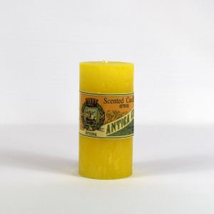 Citrus Pillar Candle 