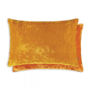 Danny Mustard/Tobacco 60x40 Cushion