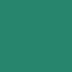 Emerald Isle Paint - Absolute Matt Sample