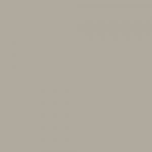 Greyed Oak Paint - Absolute Matt Sample