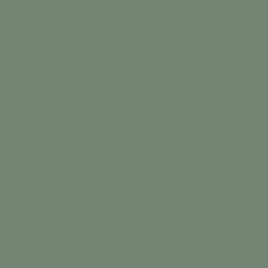 Shale Green Paint - Absolute Matt Sample