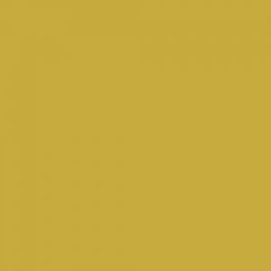 Yeoward Ochre Paint - Absolute Matt Sample