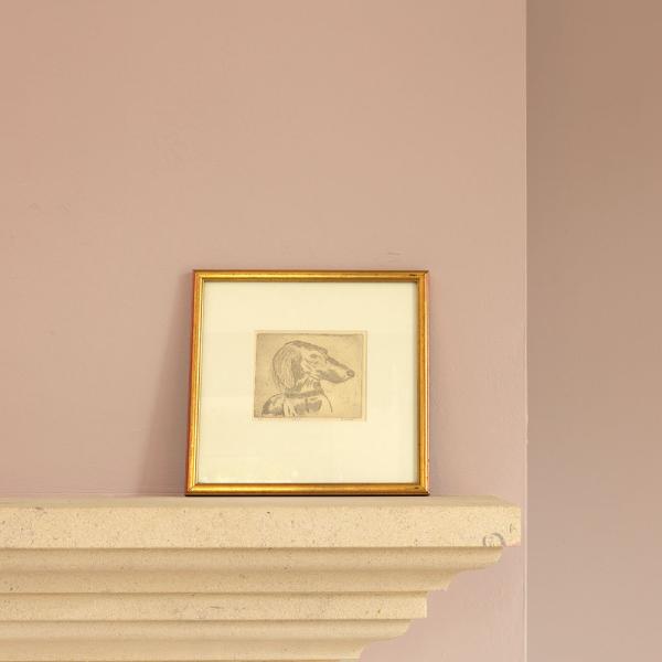 WY Paint Gallery | 2023 Colour Predictions
